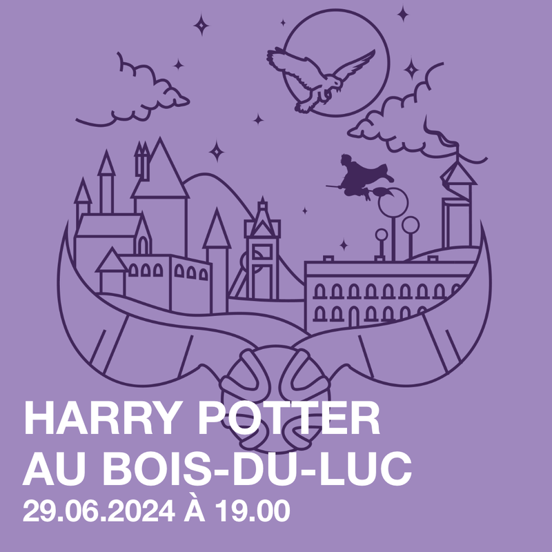 HARRY POTTER AU BOIS-DU-LUC